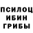 Галлюциногенные грибы ЛСД Madi Kapanovv