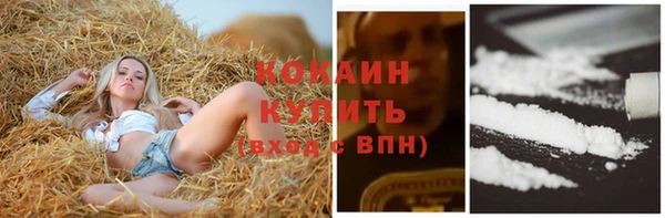 дмт Майский