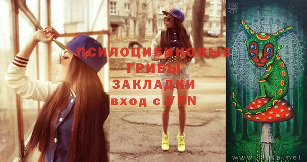 ПСИЛОЦИБИНОВЫЕ ГРИБЫ Лиски