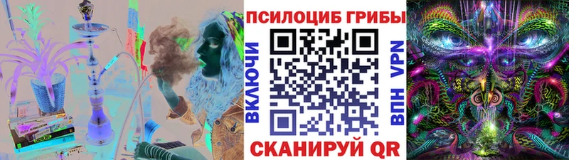 Псилоцибиновые грибы Cubensis  Сухиничи 